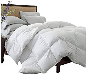 10 Best Duvet Insert To Choose From Updated 2020